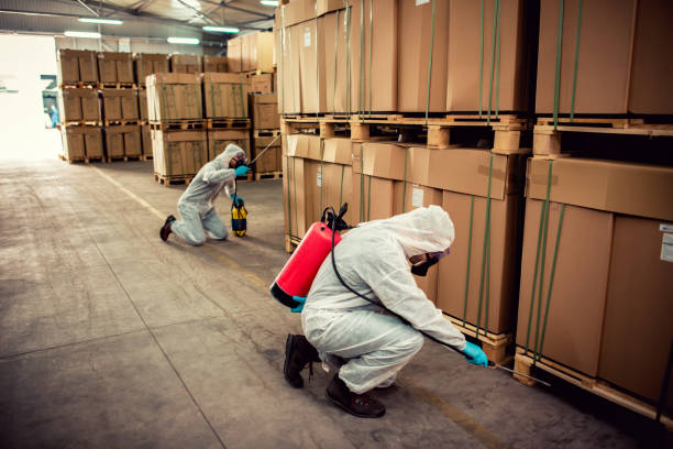 Best Pest Control for Homes  in Ocala, FL