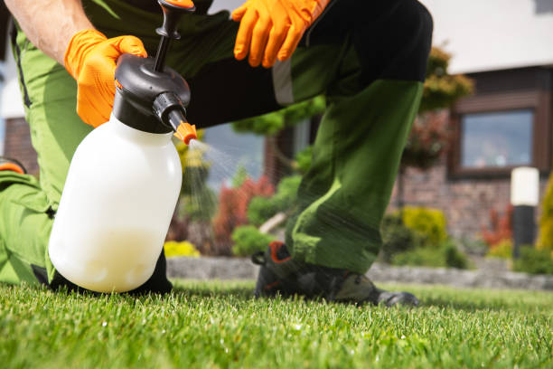 Best Wasp Removal Services  in Ocala, FL