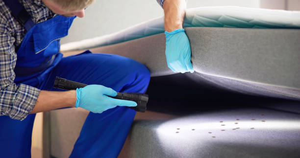 Best Pest Control Near Me  in Ocala, FL