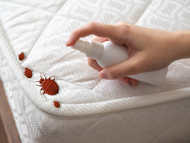 Pest Control Cost in Ocala, FL