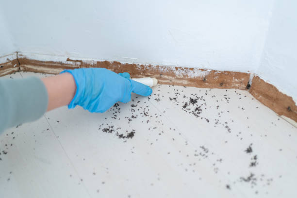 Wildlife Control Services in Ocala, FL
