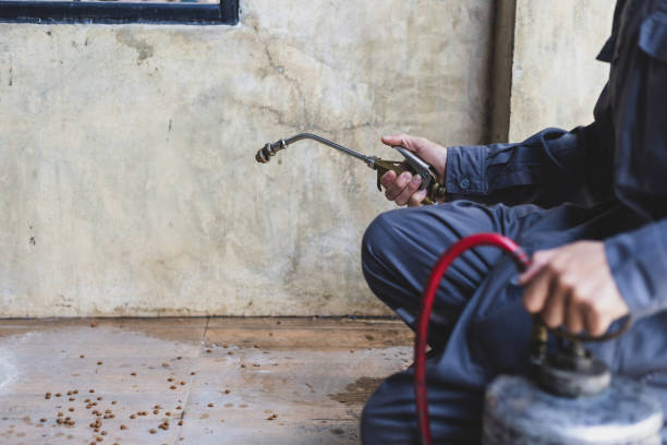 Best Exterminator Services  in Ocala, FL